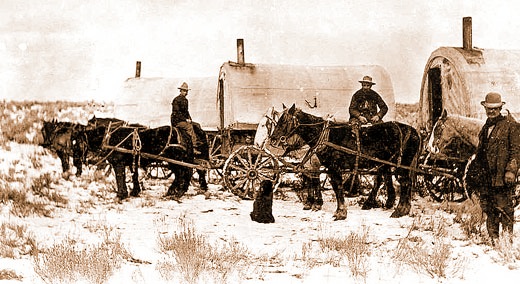 sheep wagons