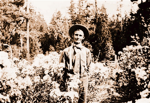 In the Garden