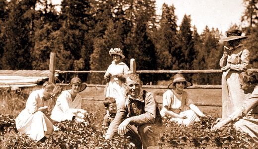 Picnic in Williams
