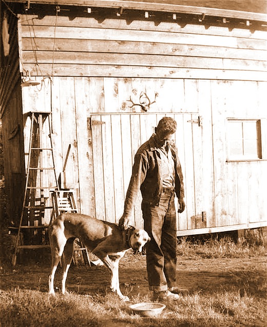 The Great Dane